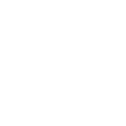 100 calidad